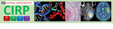 Co-Clinical Imaging Research Program Annual Virtual Meeting 2022